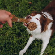 KokoFetch - Piłka z Włókna Kokosowego z Rączką | Do Rzucania i Szarpania | Eko Zabawka Bez Toksyn