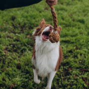 KokoFetch - Piłka z Włókna Kokosowego z Rączką | Do Rzucania i Szarpania | Eko Zabawka Bez Toksyn