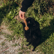 KokoFetch - Piłka z Włókna Kokosowego z Rączką | Do Rzucania i Szarpania | Eko Zabawka Bez Toksyn