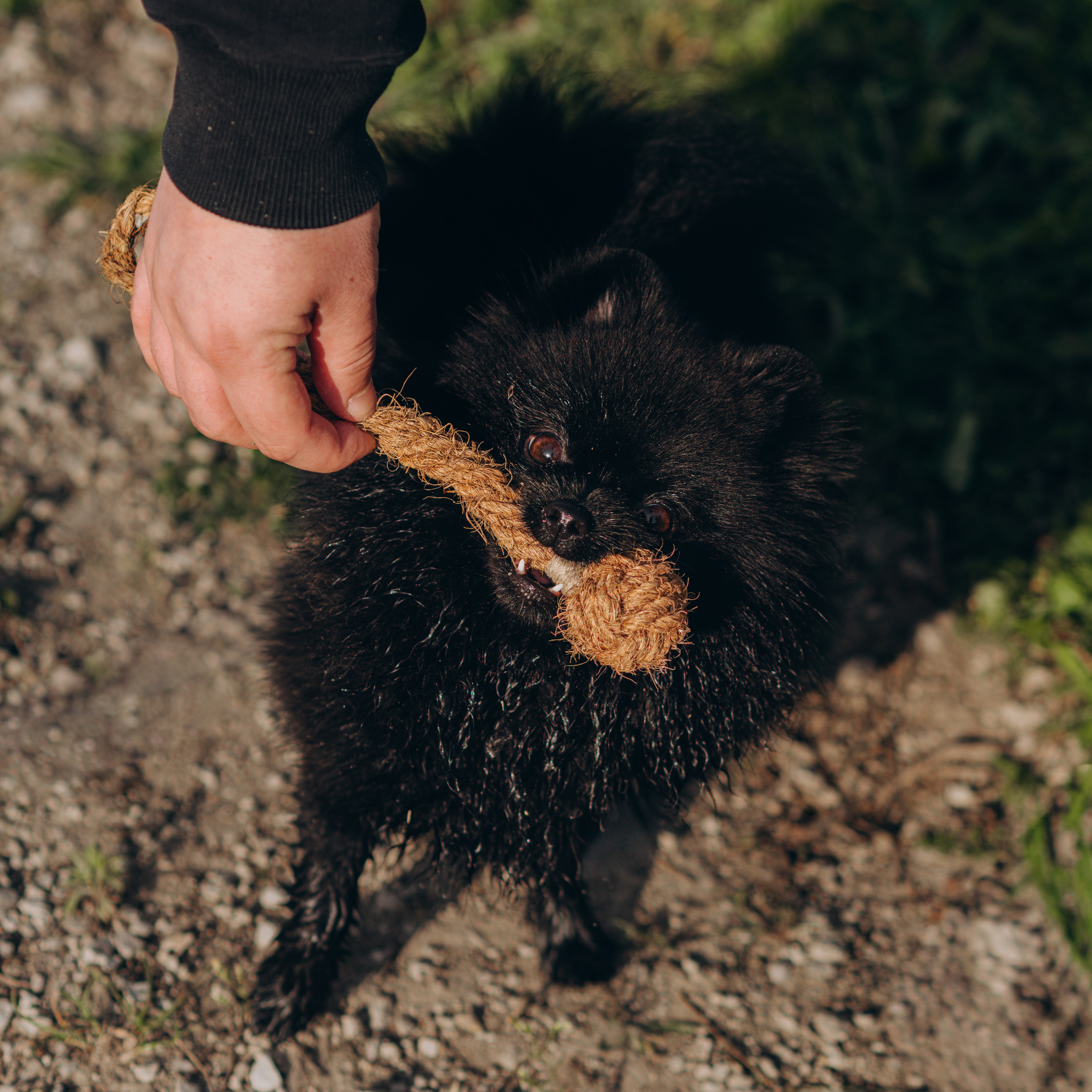 KokoFetch - Piłka z Włókna Kokosowego z Rączką | Do Rzucania i Szarpania | Eko Zabawka Bez Toksyn