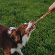 KokoTug - Naturalny Szarpak z Włókna Kokosowego | Mocny Węzeł + Lina Kokosowa | Eko Zabawka Bez Toksyn