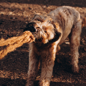 KokoTug - Naturalny Szarpak z Włókna Kokosowego | Mocny Węzeł + Lina Kokosowa | Eko Zabawka Bez Toksyn