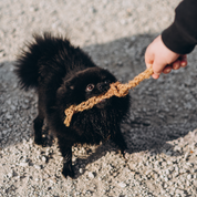 KokoTwist - Naturalna Zabawka z Włókna Kokosowego | Pleciony Warkocz z Węzłami | Eko szarpak dla Psów S/M/XL