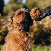 KokoBall - Ręcznie Pleciona Piłka z Włókna Kokosowego | Biodegradowalna Zabawka dla Psa | EKO